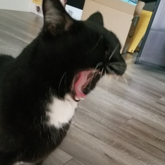 I ain't sellin'! I am here to go broke lol. - Picture 3 of 3